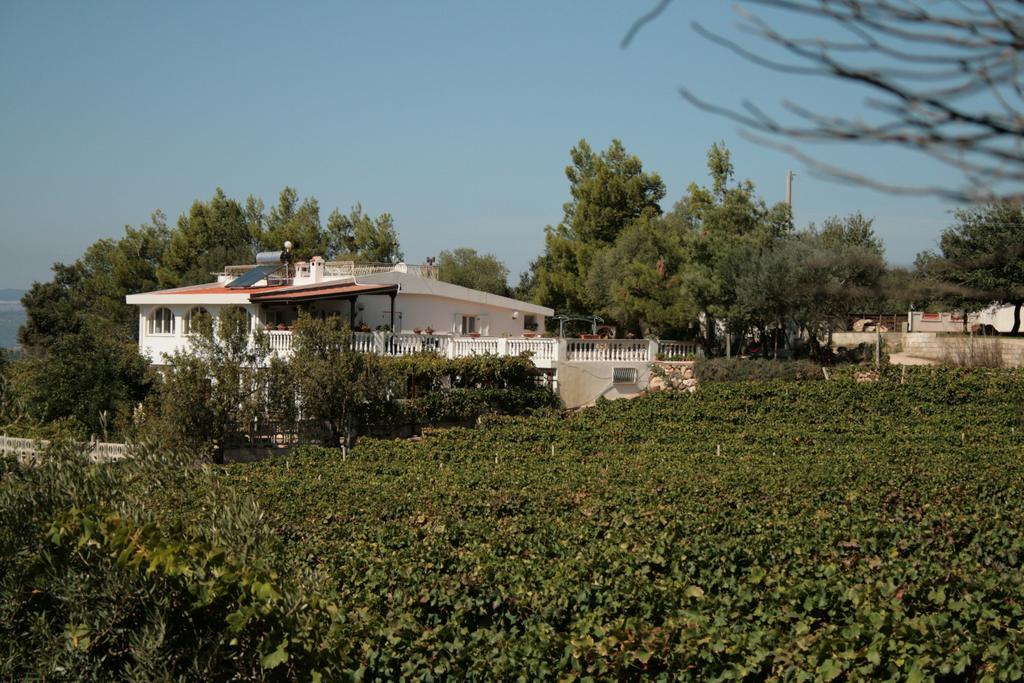Bed & Breakfast Maria *
