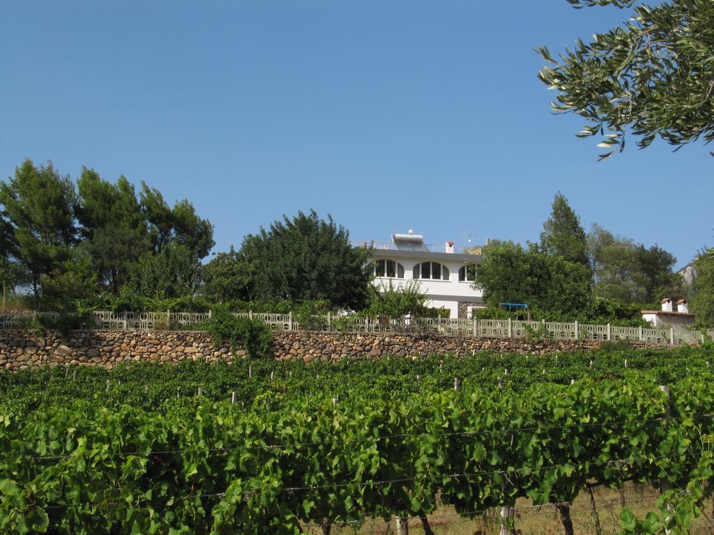 Bed & Breakfast Maria *