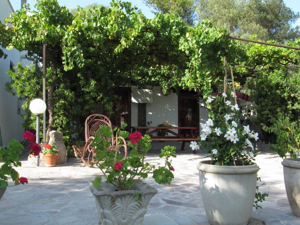 Bed & Breakfast Maria